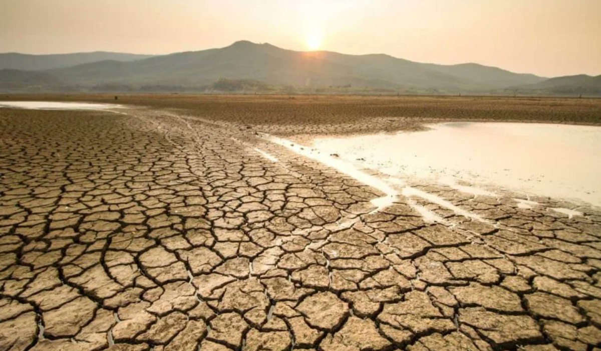 Global Oceans Near Record Heat Levels, Says Study